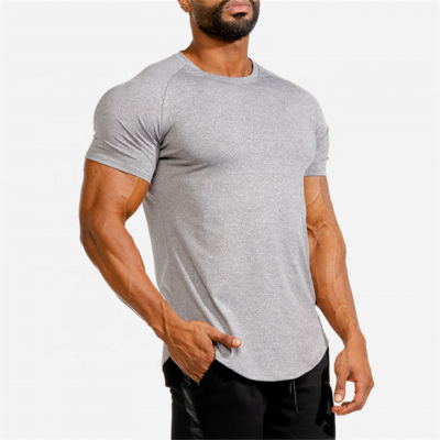 2020 Hot Sale Quick Dry Men Gym Cotton Fitness Custom 100% Cotton Designer White Workout Graphic Plain Sport T Shirt In Bulk